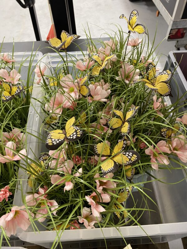 Blomster, Borddekoration i krukke - Image 4